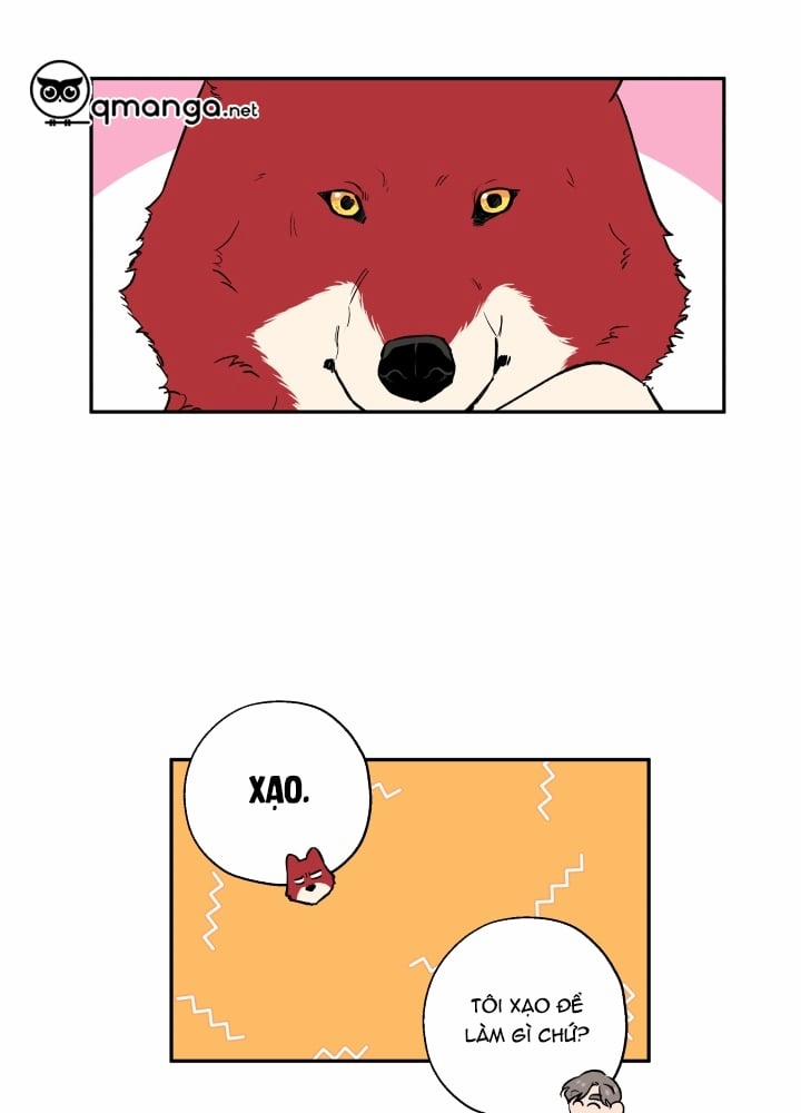 Gâu Gâu! 21 trang 6