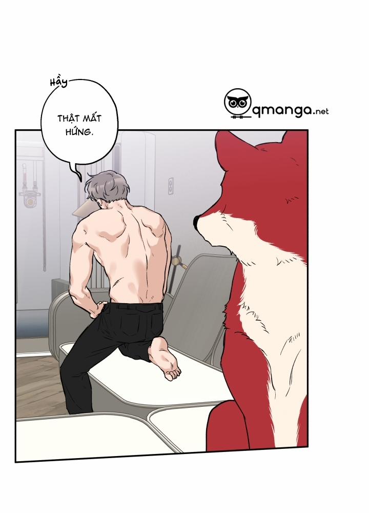 Gâu Gâu! 21 trang 8