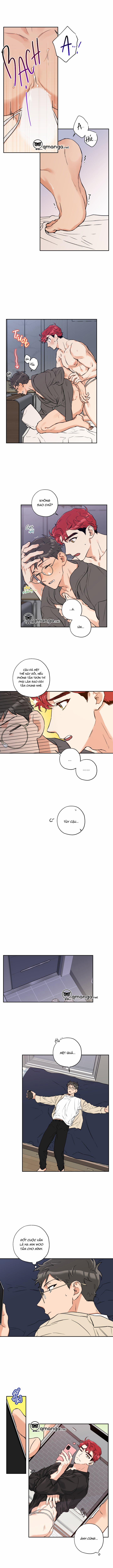 Gâu Gâu! 23 trang 50