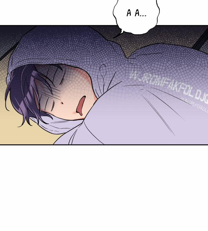 Gâu Gâu! 24 trang 1