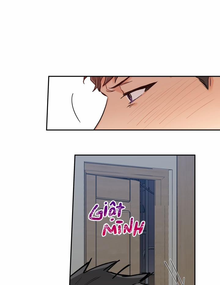 Gâu Gâu! 25 trang 48