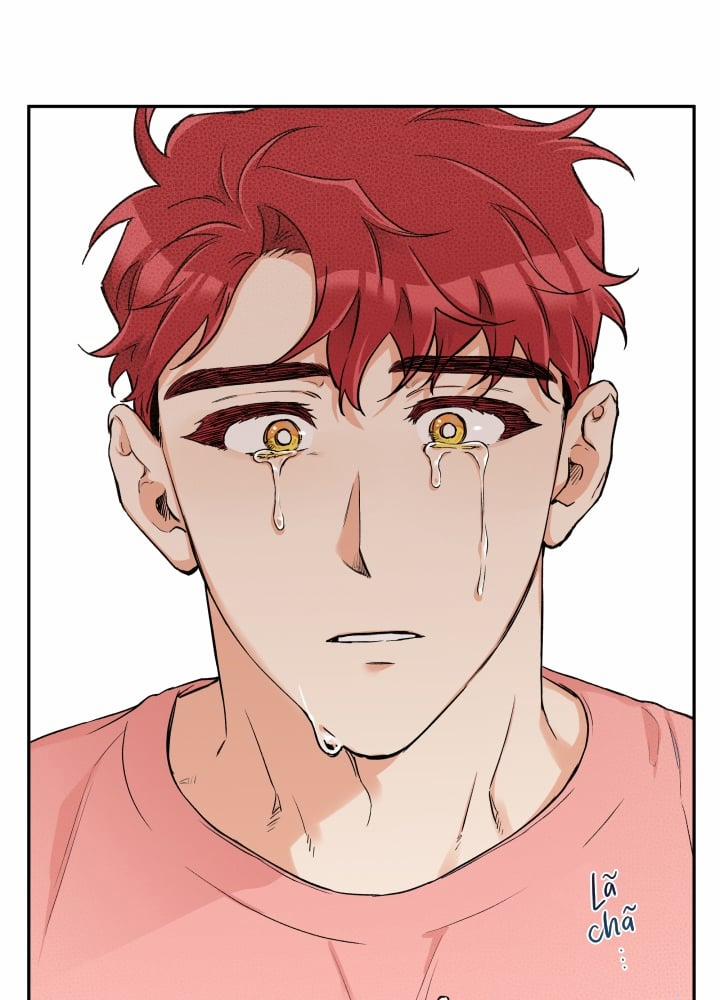 Gâu Gâu! 28 trang 1