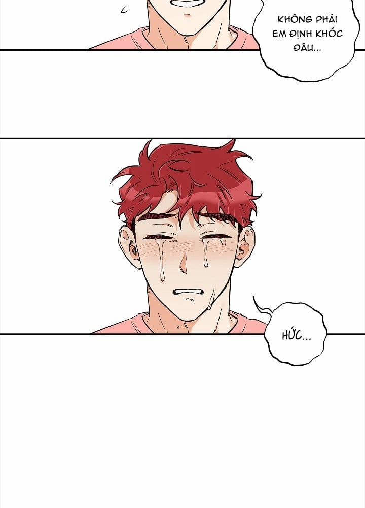 Gâu Gâu! 28 trang 3