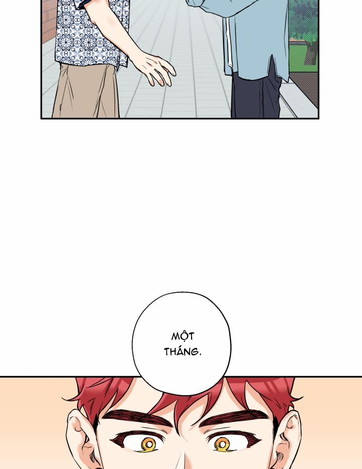 Gâu Gâu! 29 trang 21