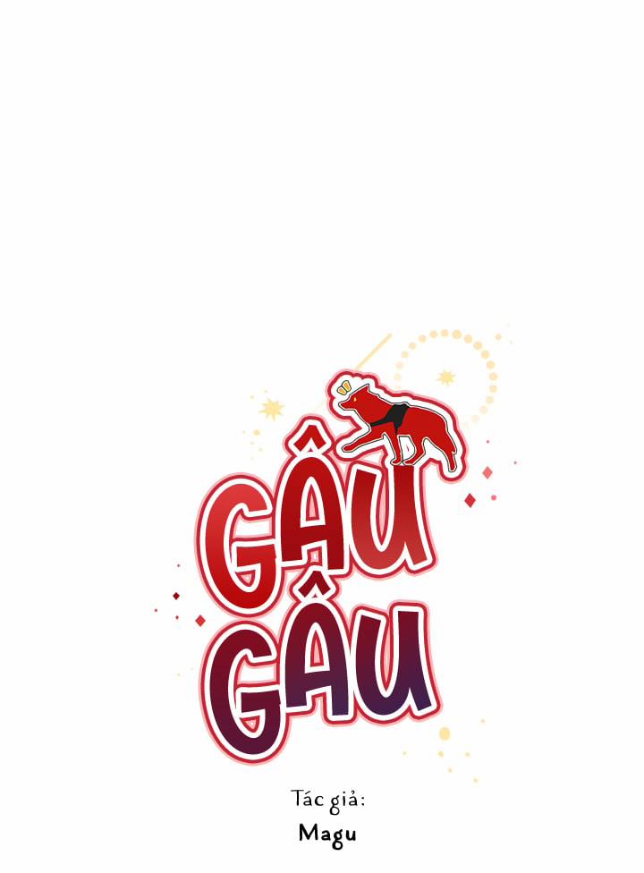 Gâu Gâu! 31 trang 0
