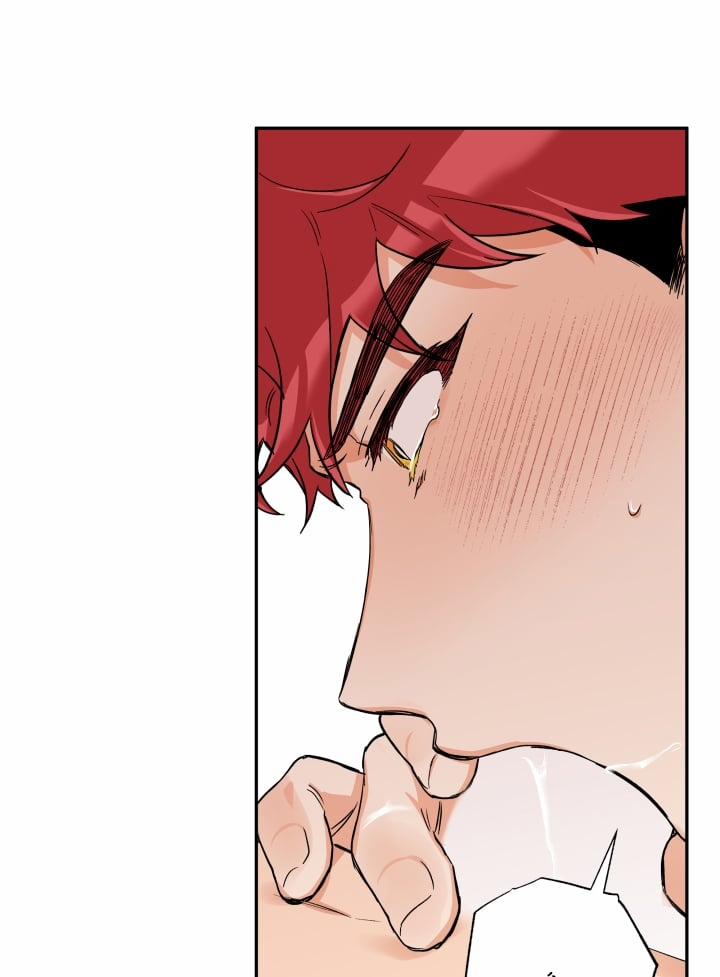 Gâu Gâu! 31 trang 17