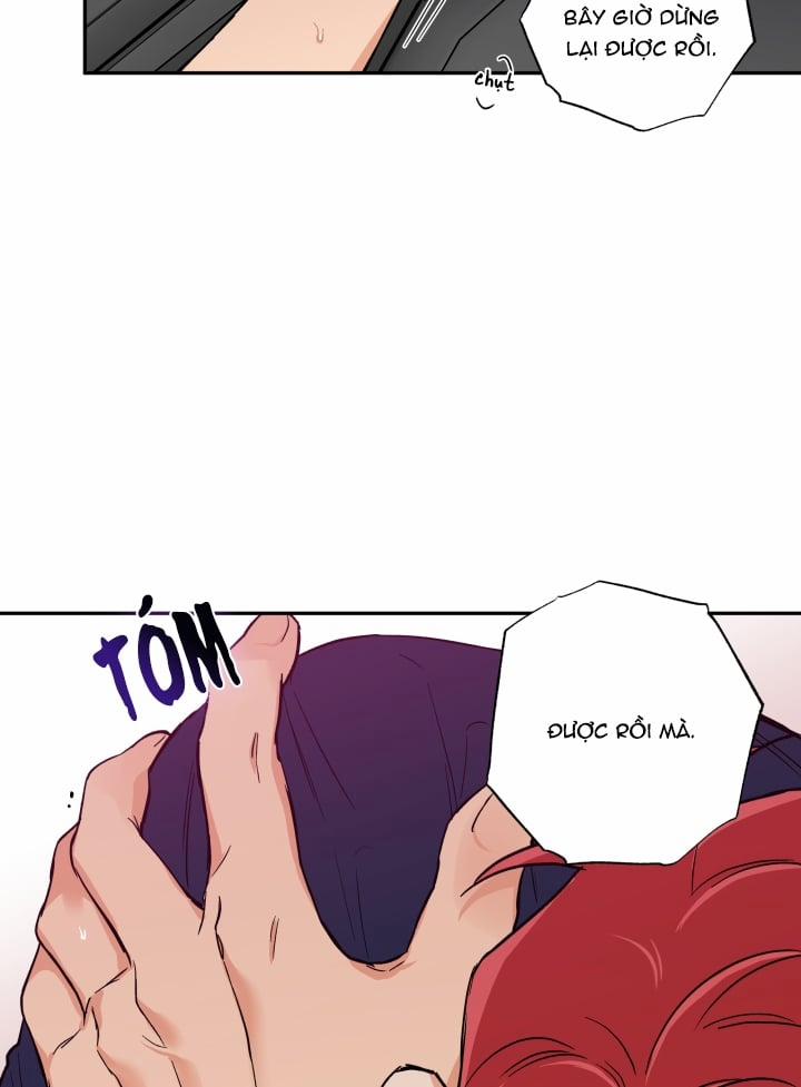 Gâu Gâu! 31 trang 20