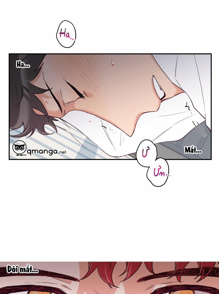 Gâu Gâu! 6 trang 38