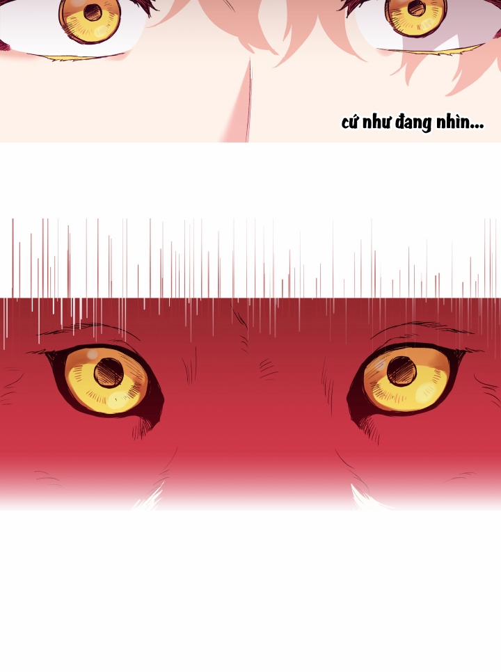 Gâu Gâu! 6 trang 39