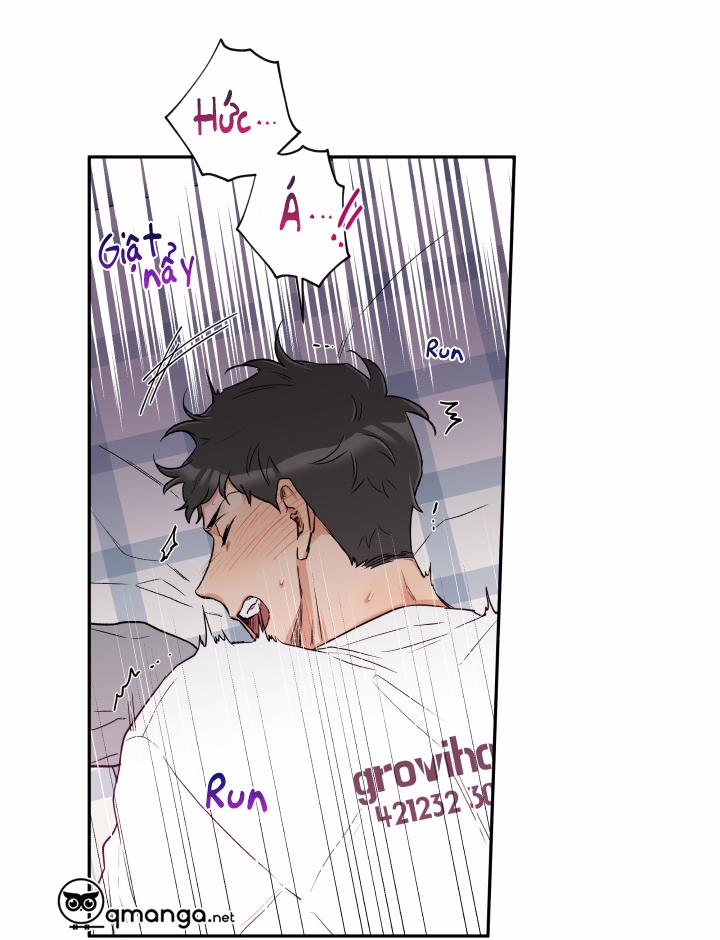 Gâu Gâu! 6 trang 40