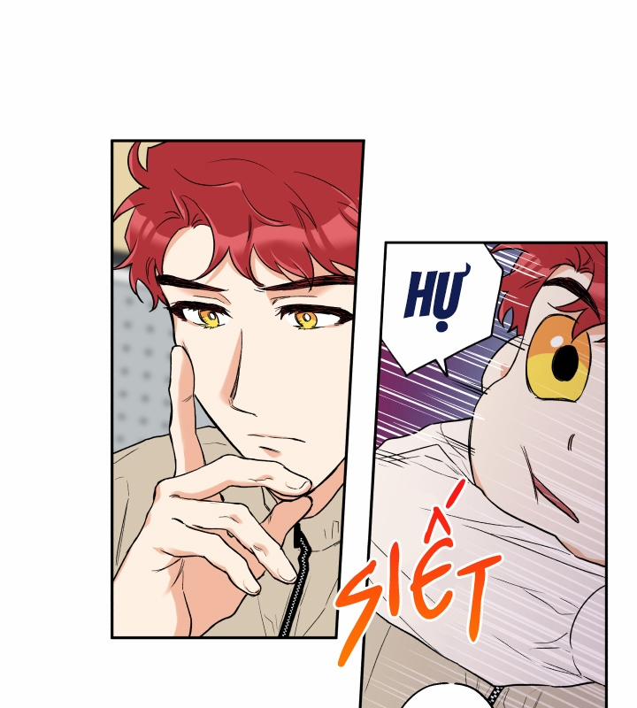 Gâu Gâu! 7 trang 16