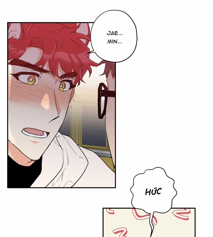 Gâu Gâu! 7 trang 50