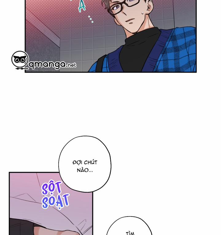 Gâu Gâu! 8 trang 41