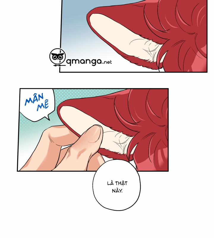 Gâu Gâu! 8 trang 58