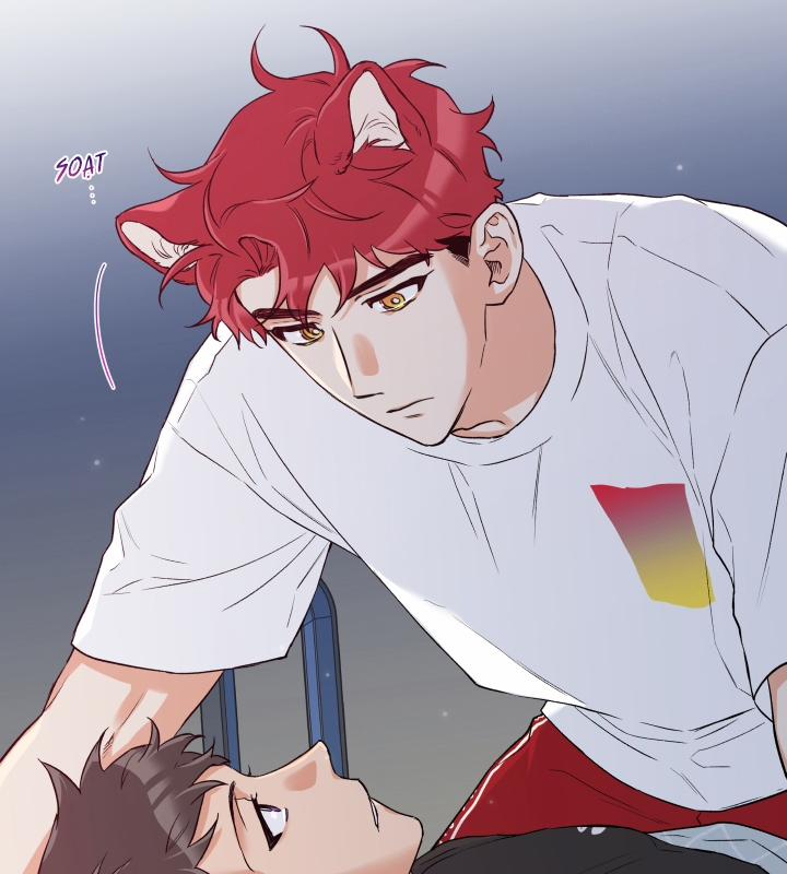 Gâu Gâu! 8 trang 62