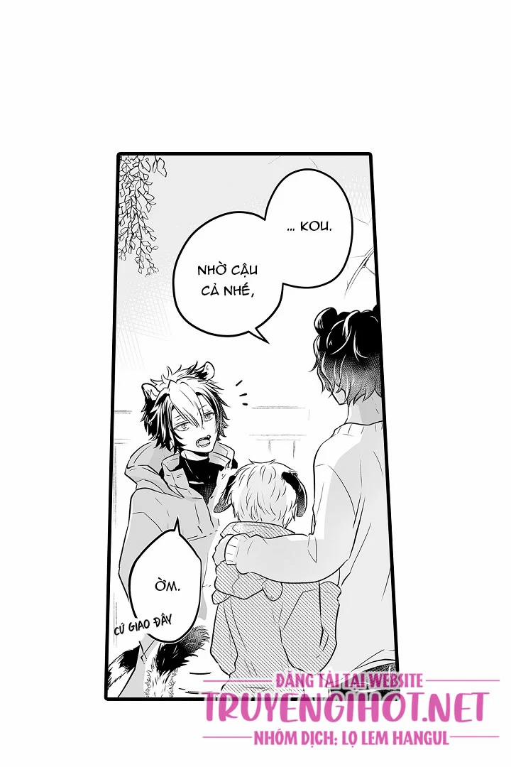 Gấu Ngủ Đông 1.3 trang 11