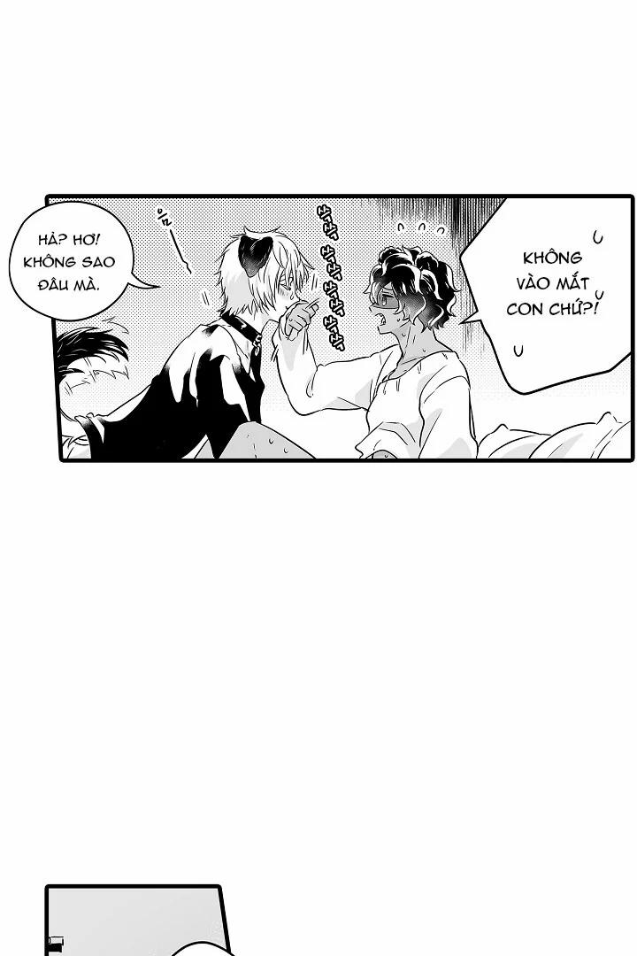 Gấu Ngủ Đông 11.2 trang 1