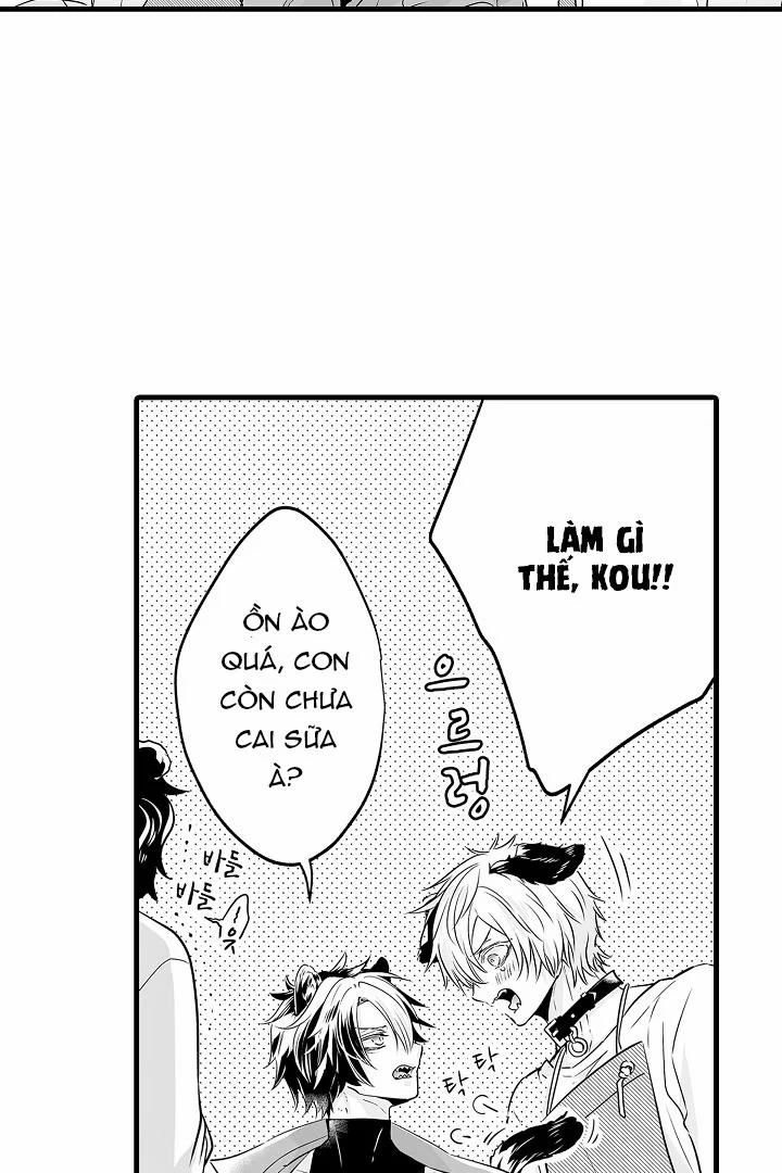 Gấu Ngủ Đông 12.2 trang 12