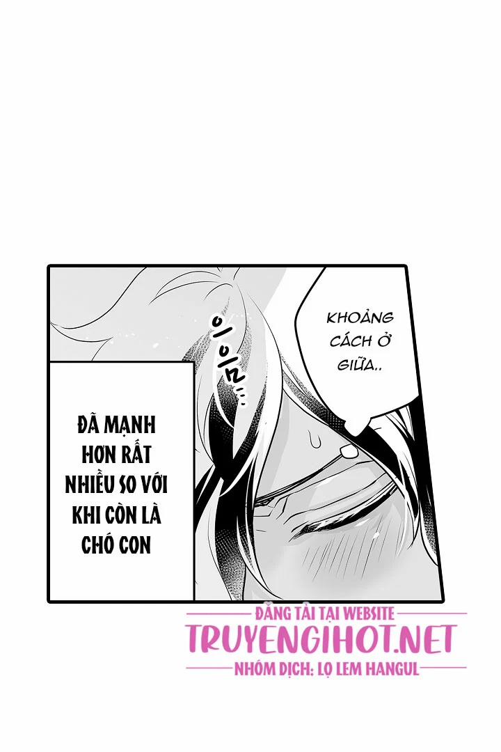 Gấu Ngủ Đông 4.3 trang 4