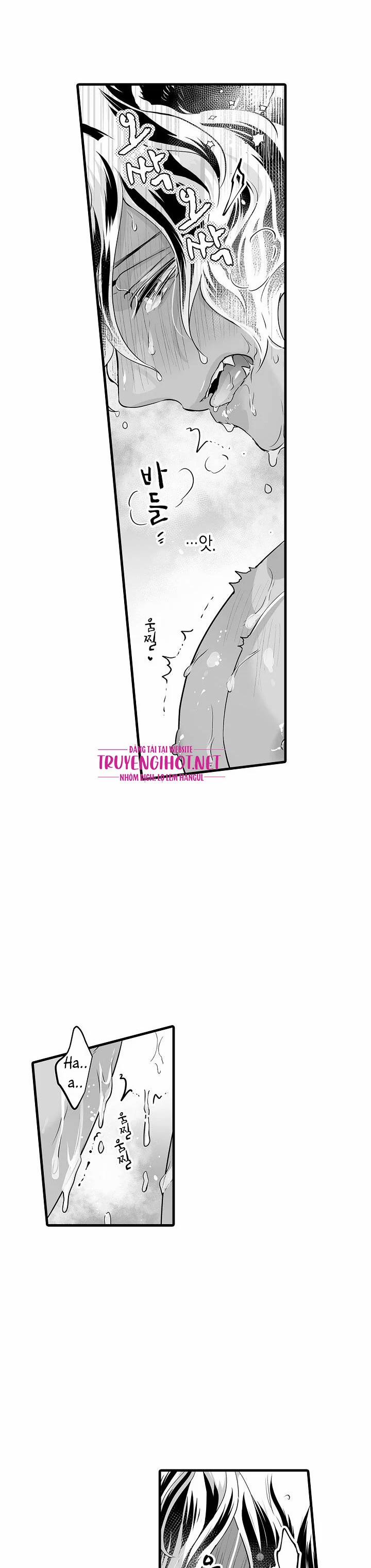 Gấu Ngủ Đông 6.3 trang 1