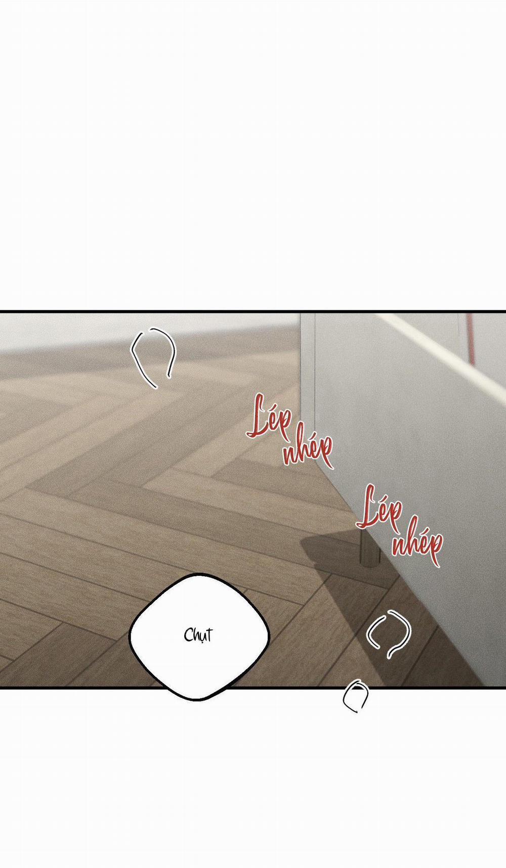 Gấu Teddy Thân Yêu 10 trang 16