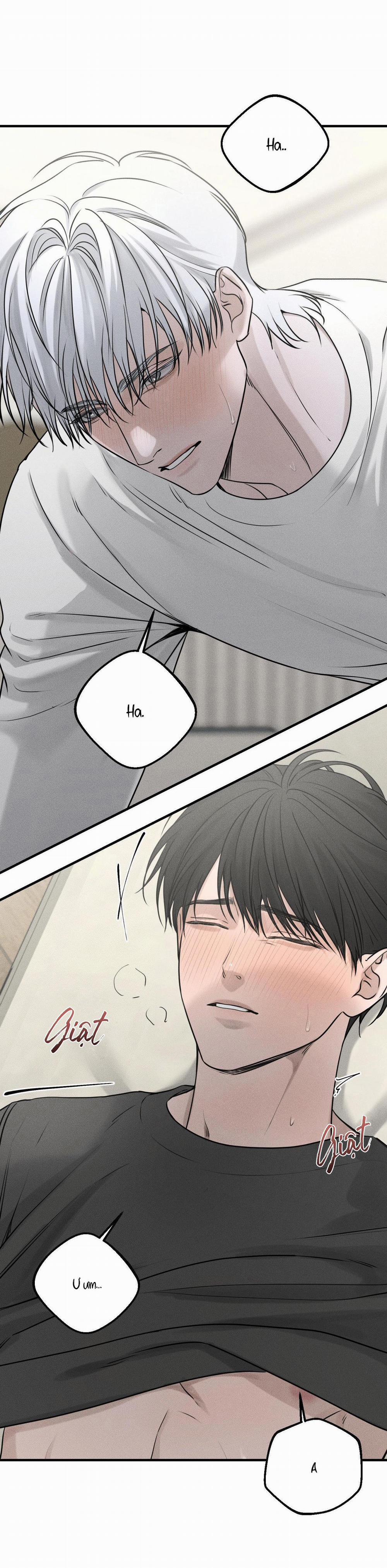 Gấu Teddy Thân Yêu 10 trang 19