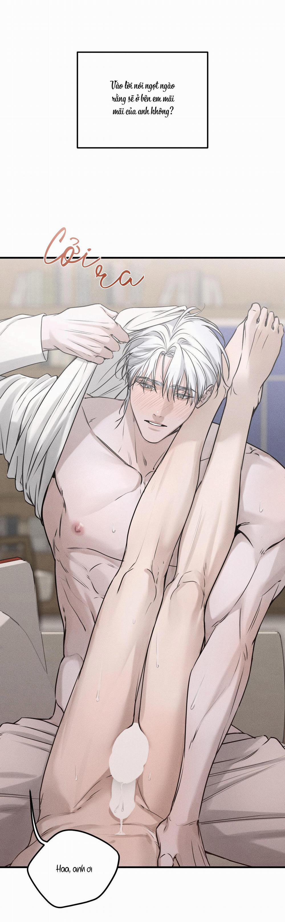 Gấu Teddy Thân Yêu 10 trang 22