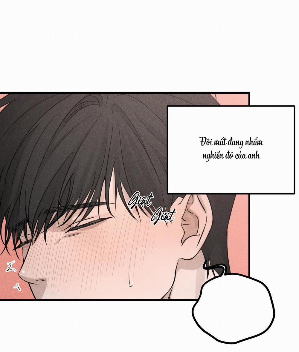 Gấu Teddy Thân Yêu 10 trang 24