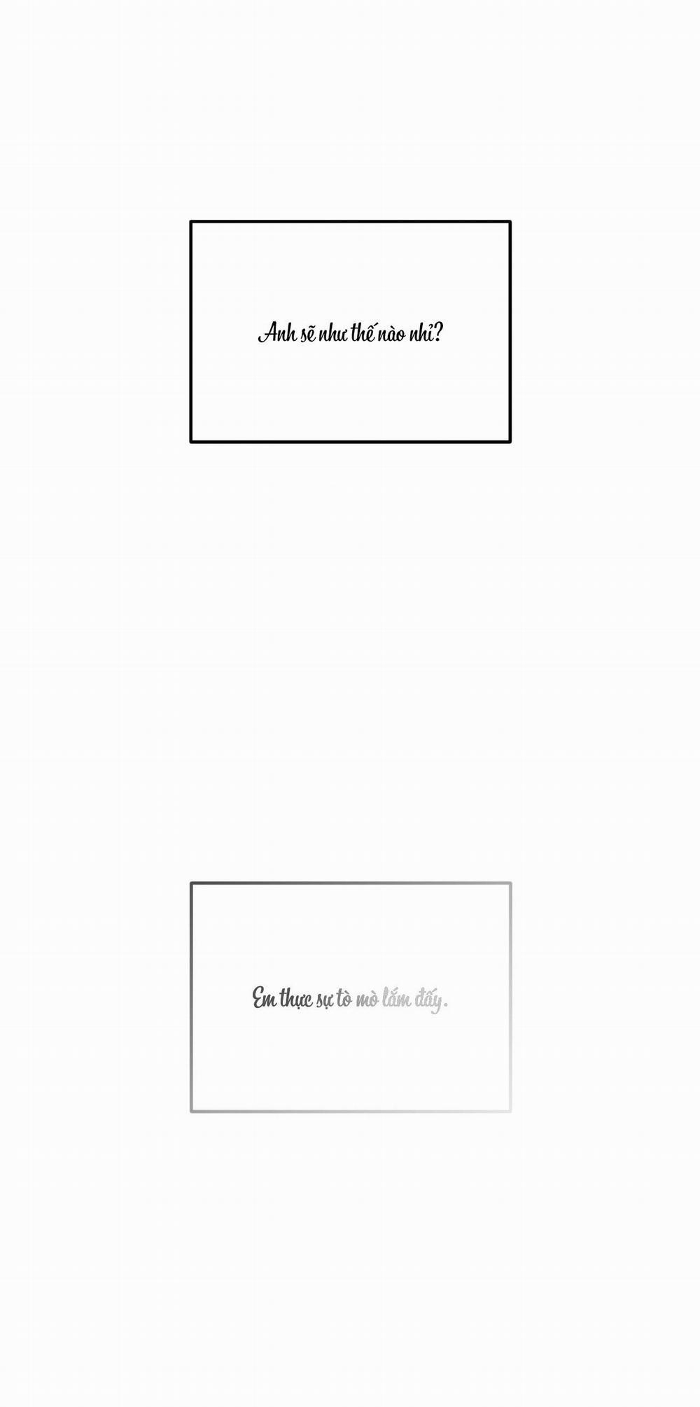 Gấu Teddy Thân Yêu 10 trang 38