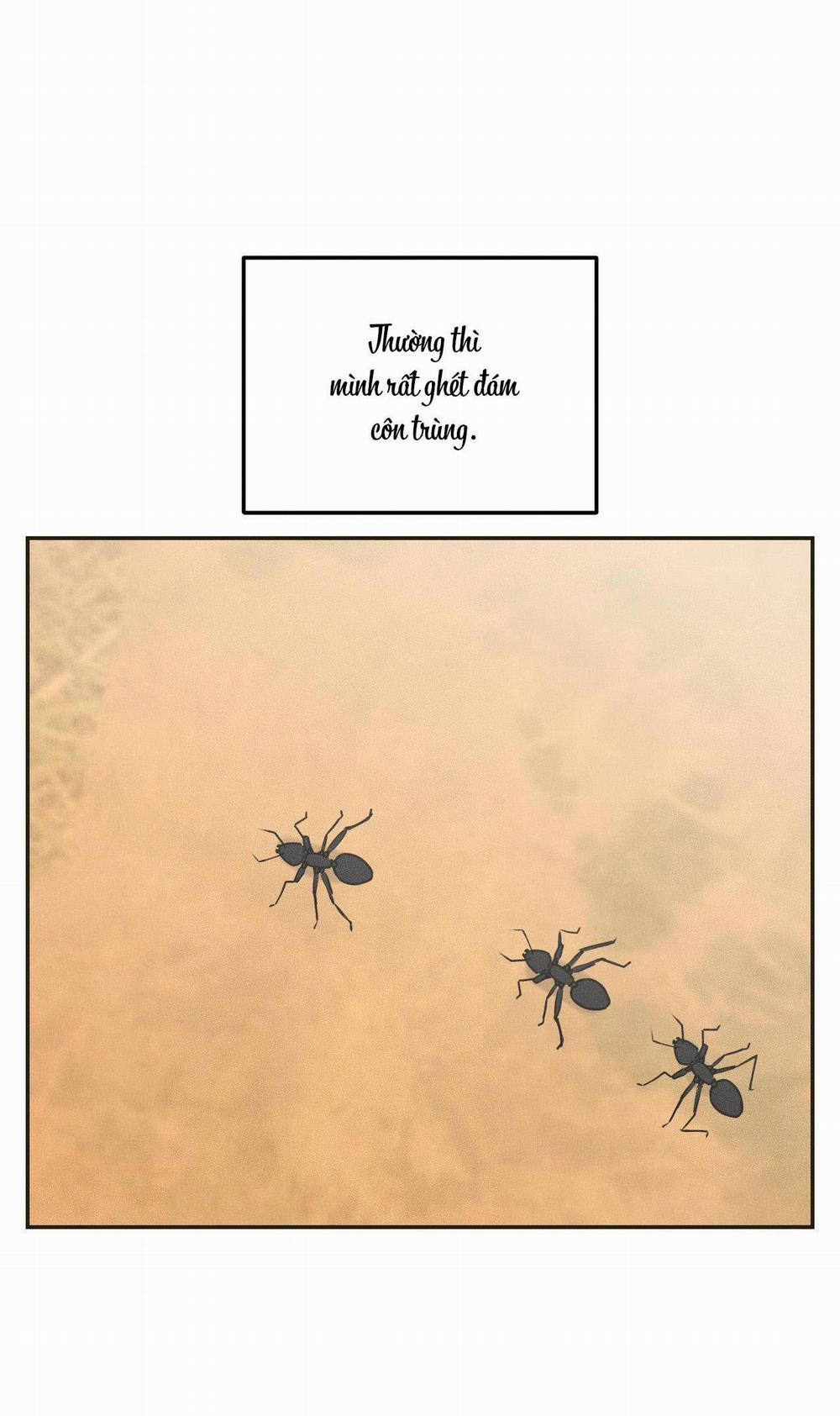 Gấu Teddy Thân Yêu 11 trang 1