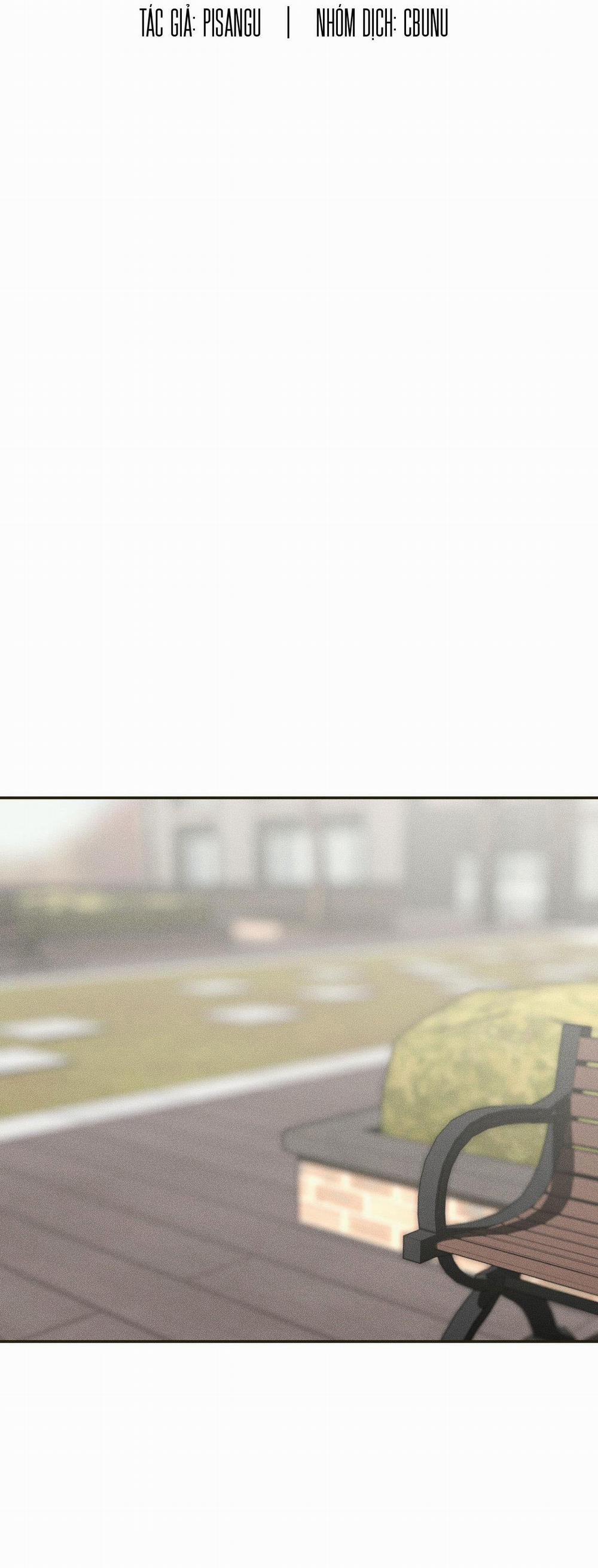 Gấu Teddy Thân Yêu 11 trang 19