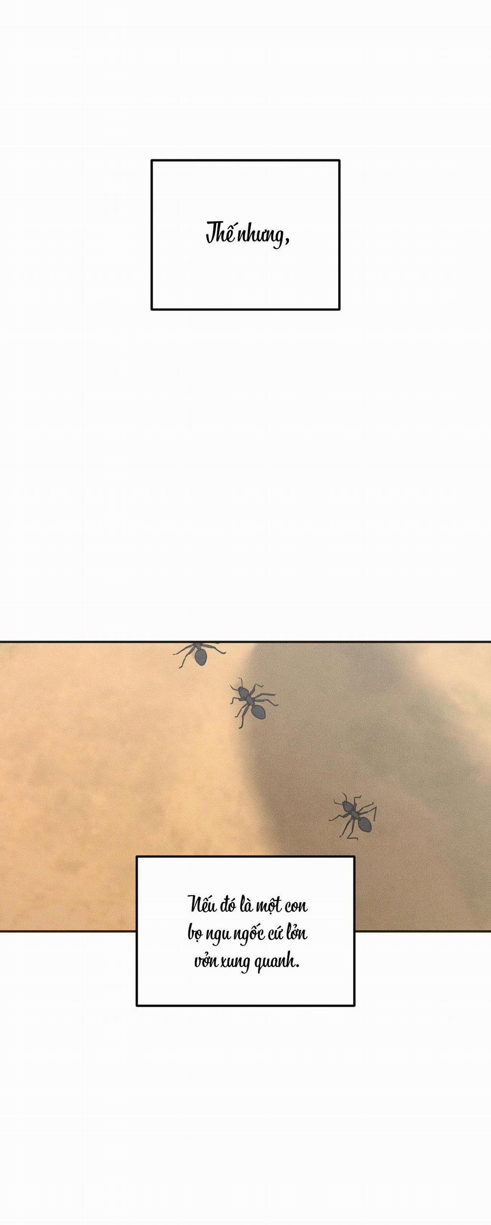 Gấu Teddy Thân Yêu 11 trang 4