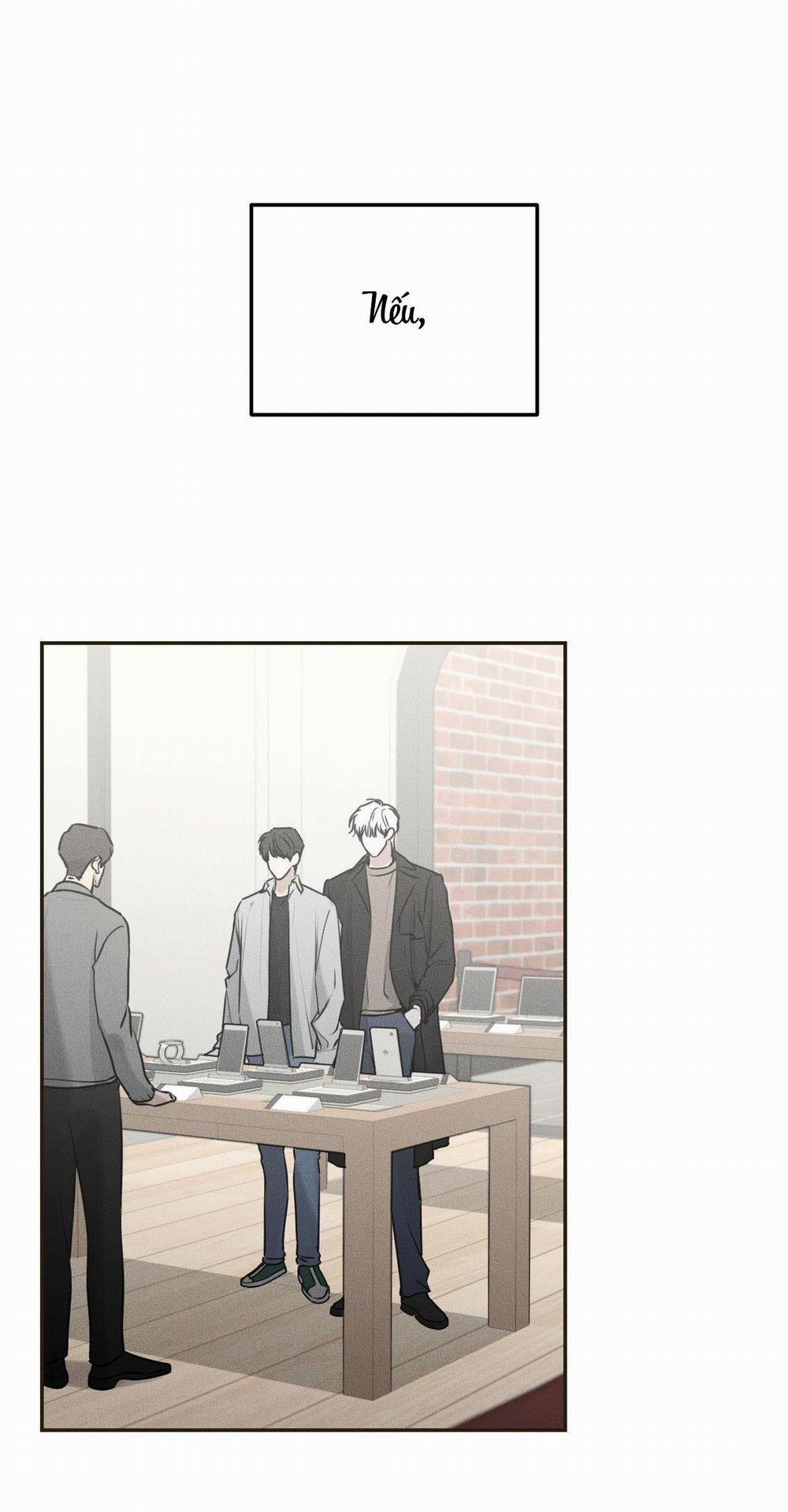 Gấu Teddy Thân Yêu 11 trang 7