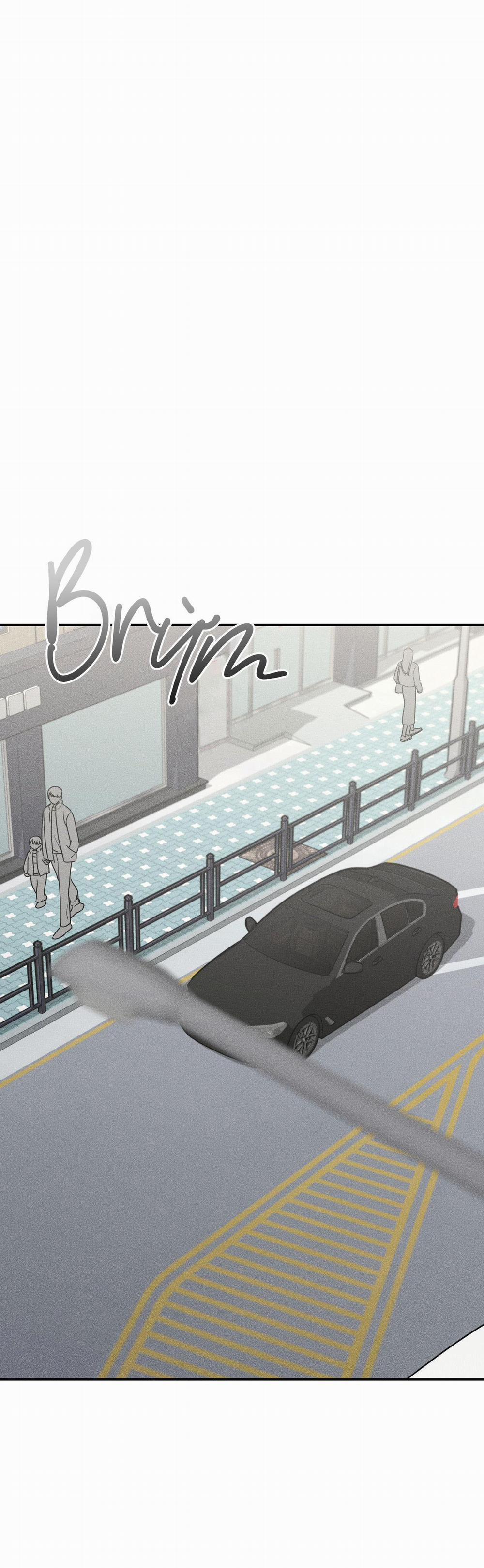 Gấu Teddy Thân Yêu 12 trang 1