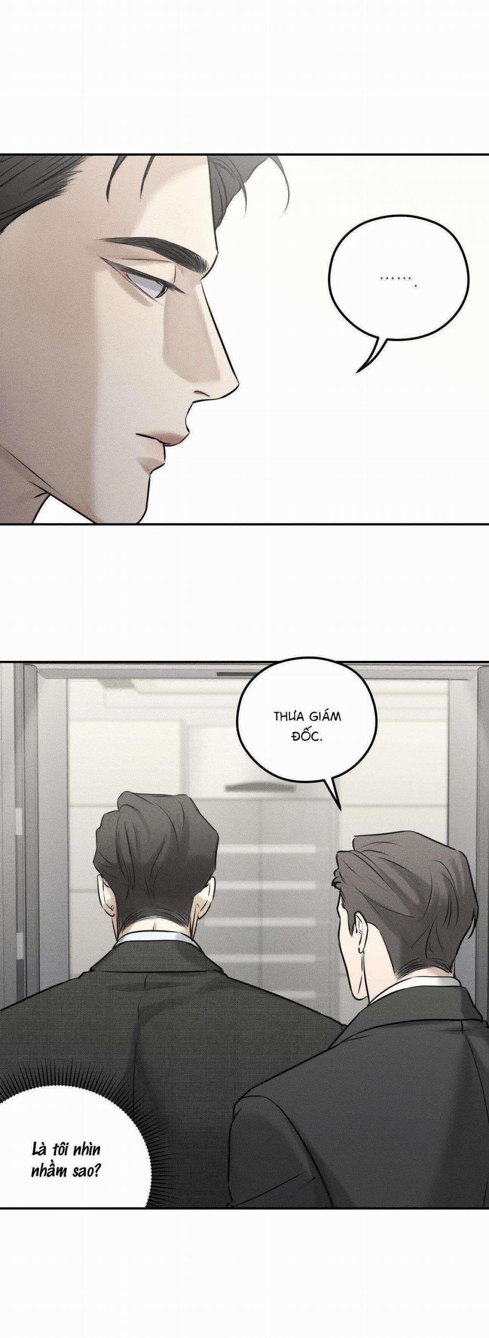 Gấu Teddy Thân Yêu 13 trang 11