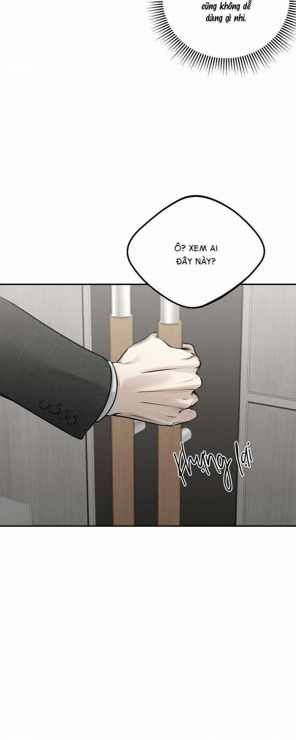 Gấu Teddy Thân Yêu 13 trang 15