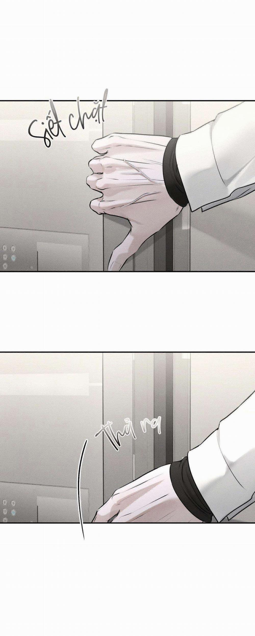 Gấu Teddy Thân Yêu 13 trang 5