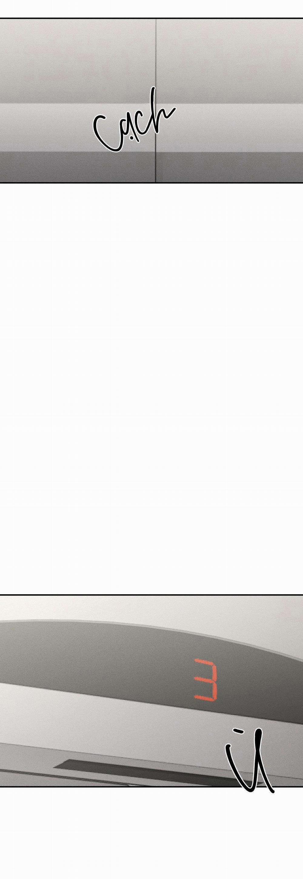 Gấu Teddy Thân Yêu 13 trang 8