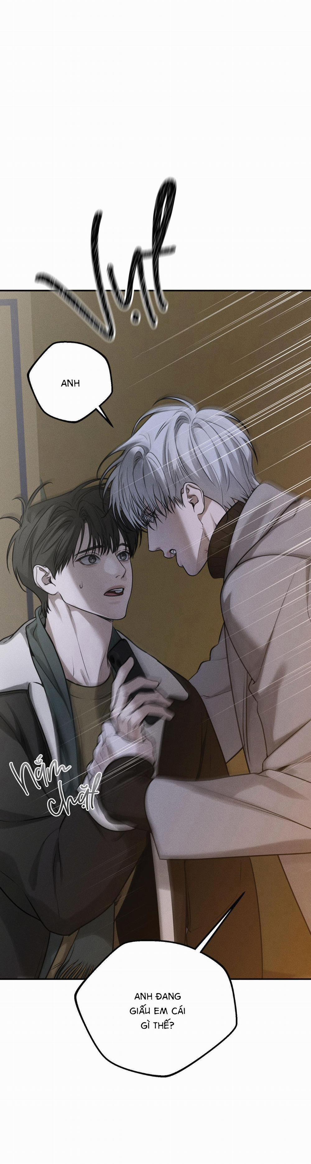 Gấu Teddy Thân Yêu 15 trang 1