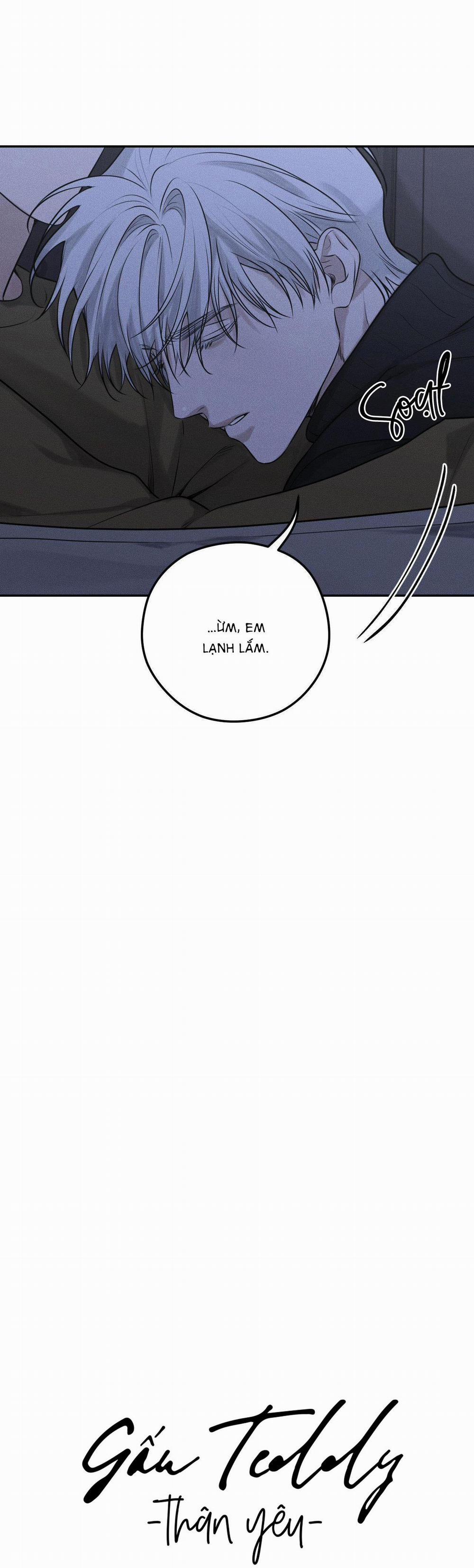 Gấu Teddy Thân Yêu 15 trang 16