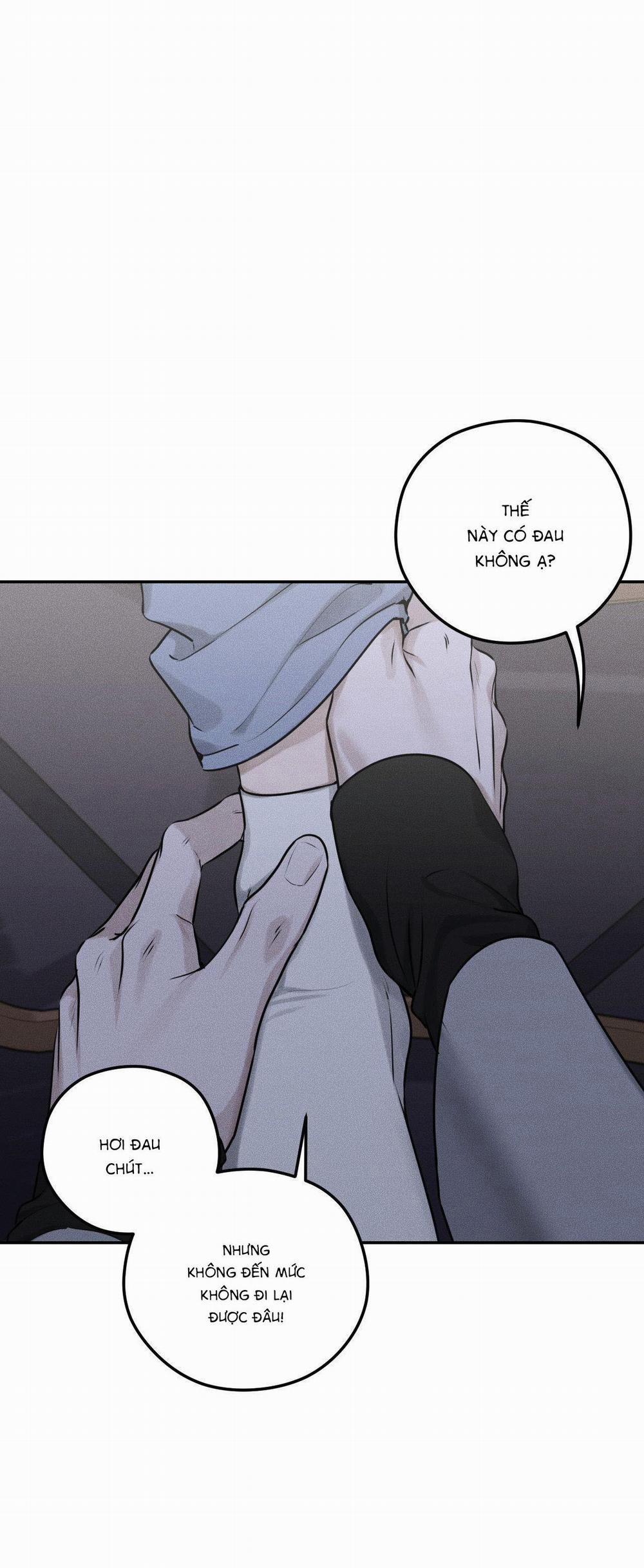 Gấu Teddy Thân Yêu 15 trang 8