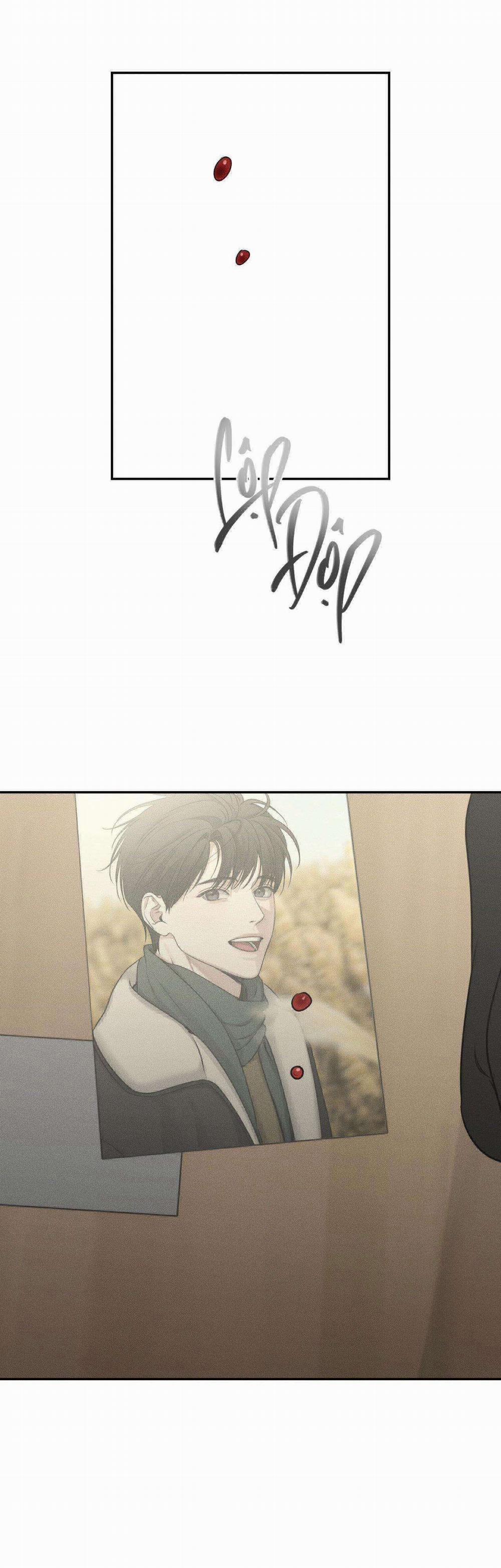 Gấu Teddy Thân Yêu 18 trang 16