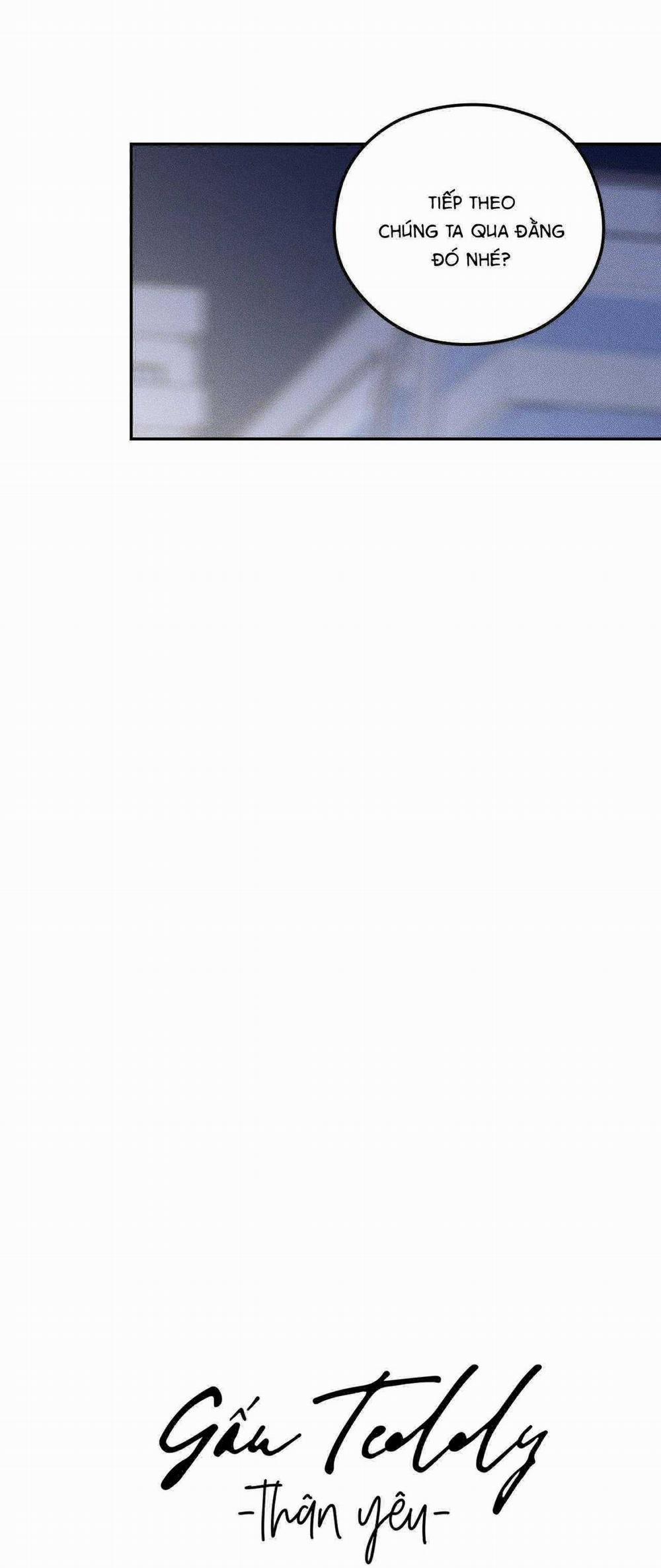 Gấu Teddy Thân Yêu 19 trang 25