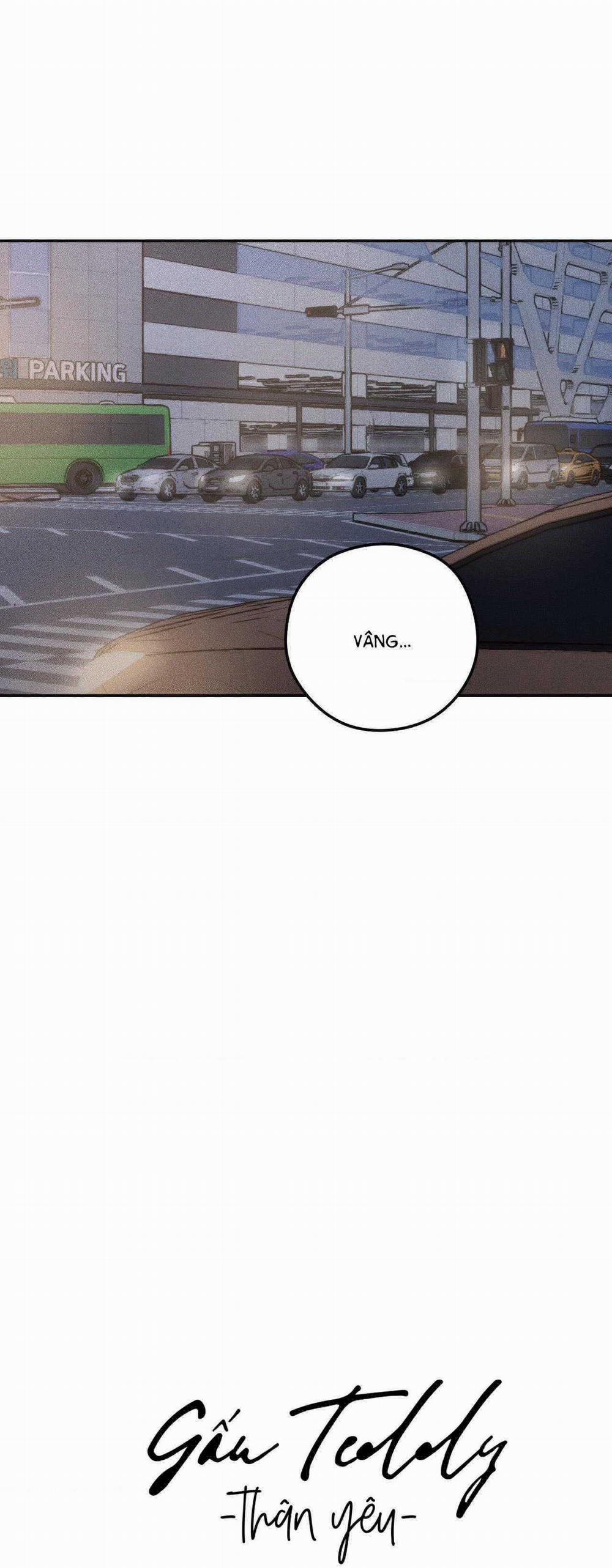 Gấu Teddy Thân Yêu 20 trang 10