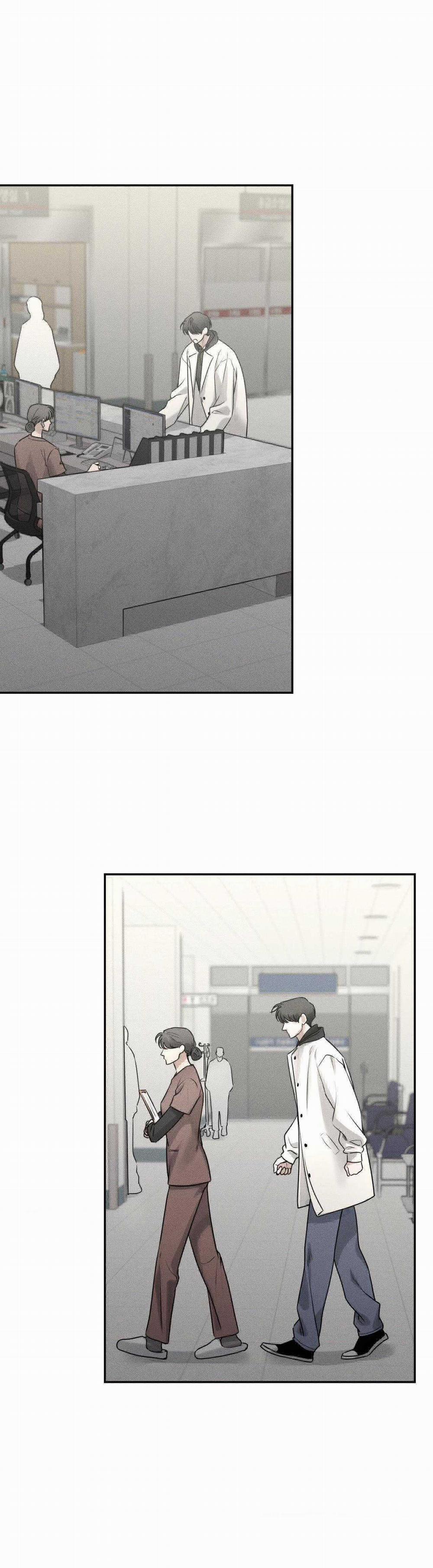 Gấu Teddy Thân Yêu 20 trang 13