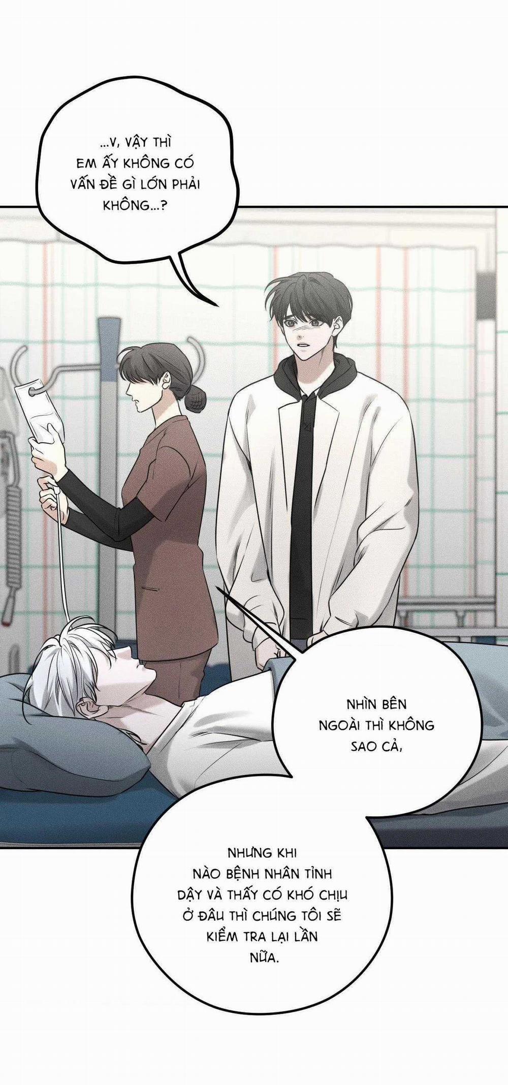 Gấu Teddy Thân Yêu 20 trang 16