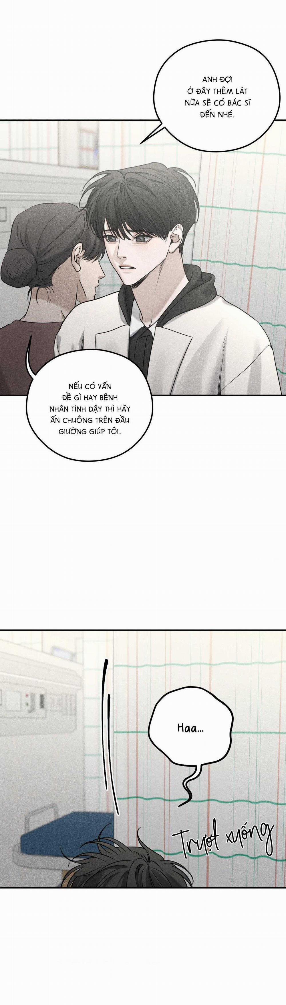 Gấu Teddy Thân Yêu 20 trang 17