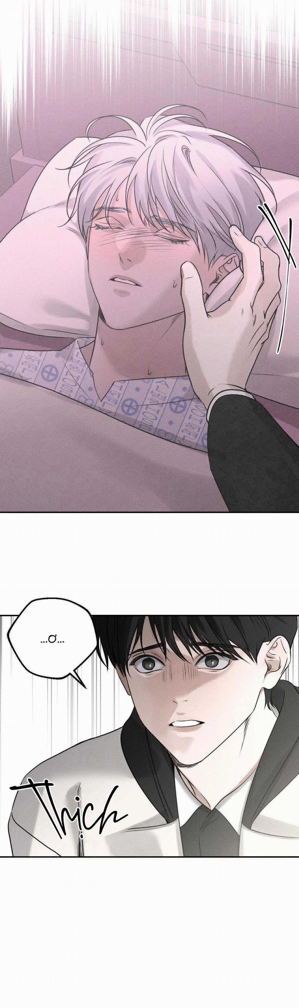 Gấu Teddy Thân Yêu 20 trang 19