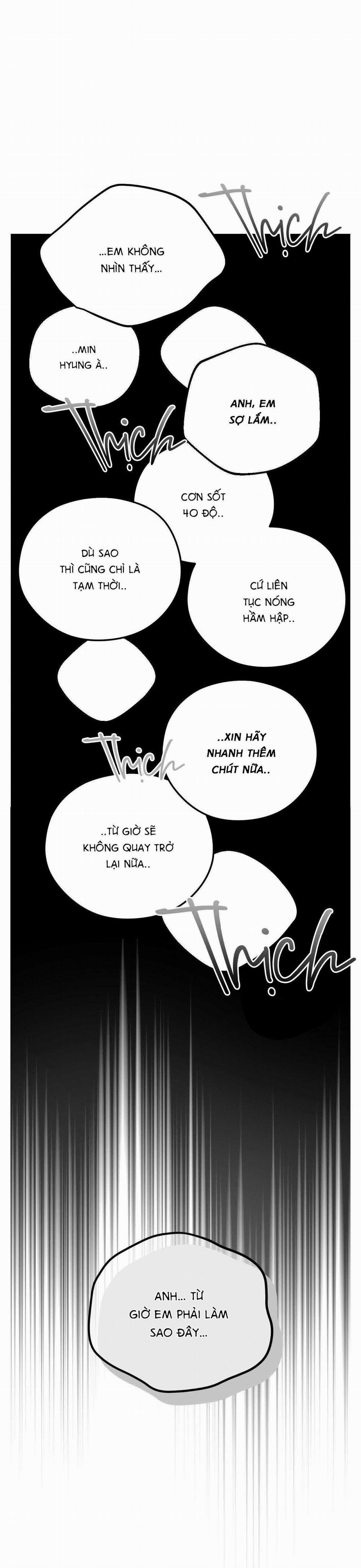 Gấu Teddy Thân Yêu 20 trang 20