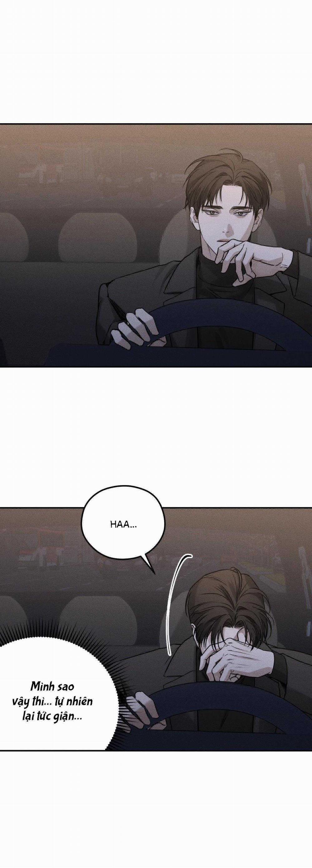 Gấu Teddy Thân Yêu 21 trang 13